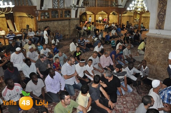 trawe7 mahmodiya 713 (17).JPG